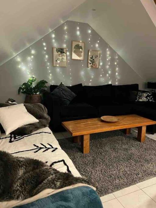 Le Havre Sanvic - Appartement Chaleureux Dış mekan fotoğraf