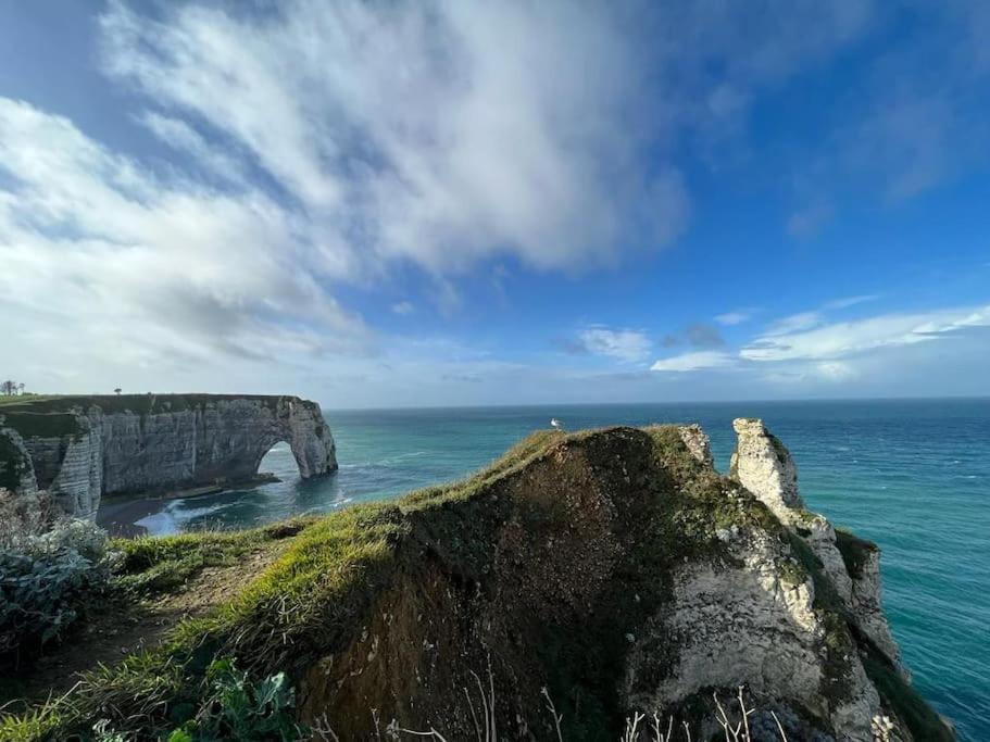 Le Havre Sanvic - Appartement Chaleureux Dış mekan fotoğraf